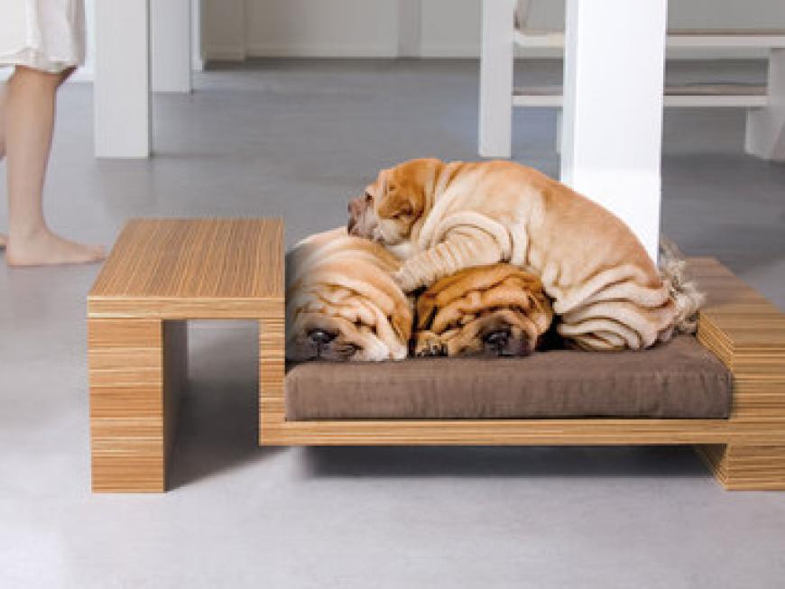 Modern Pet Bed - Petsmood DIVANATO