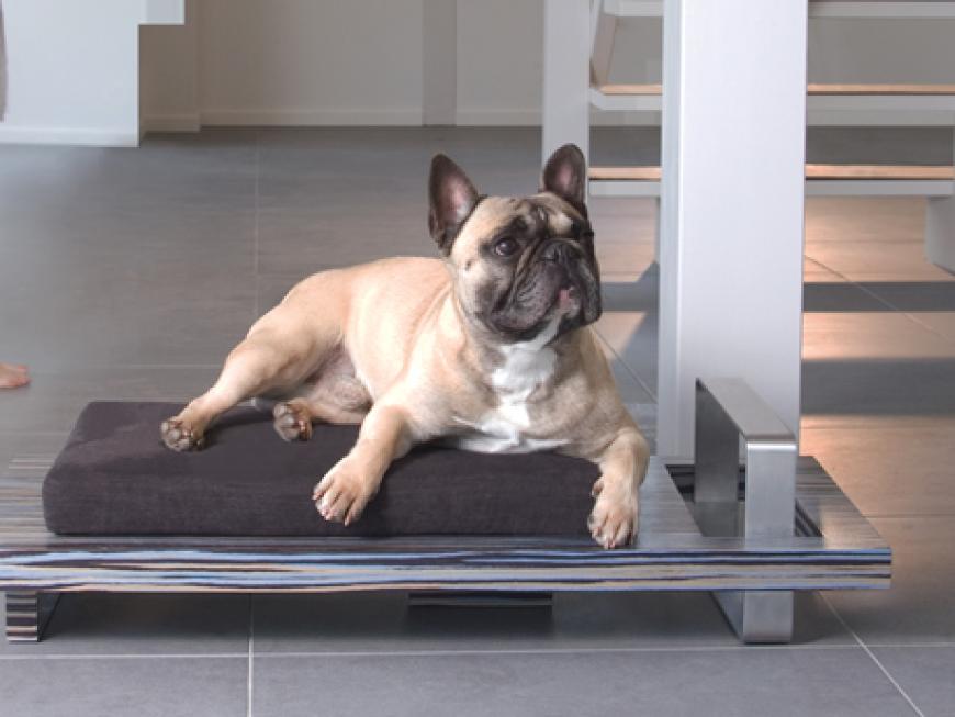 Modern And Stylish Pet Bed petsmood PIEDATO