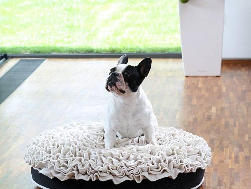 Fashionable ROSE BED For Pets