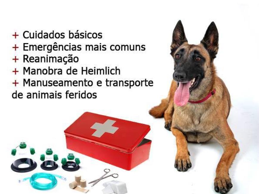  Formações de Primeiros Socorros para Animais 