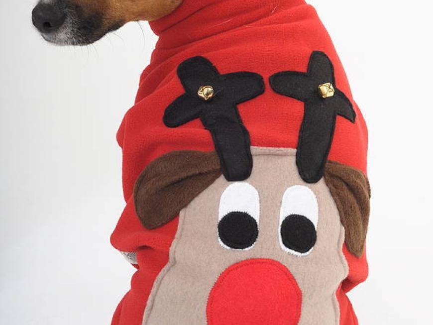 Squeaky Rudolph Christmas Dog Jumper