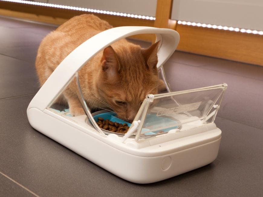 The Surefeed Microchip Pet Feeder