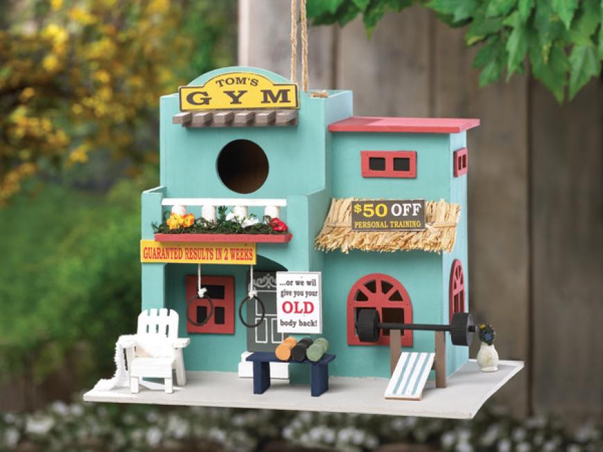 Unique Workout Gym Birdhouse